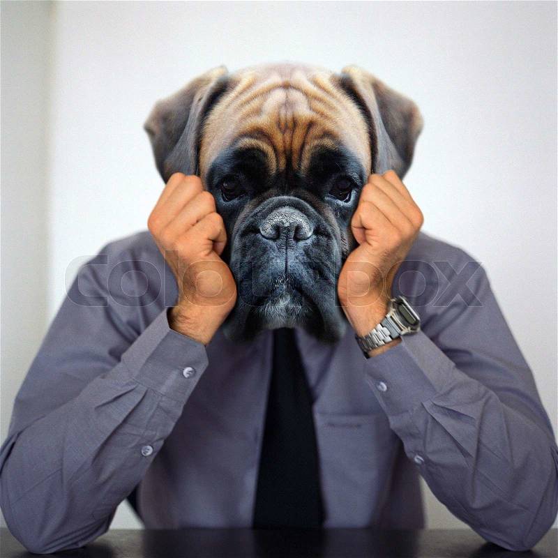 View of a businessman with dog face, stock photo