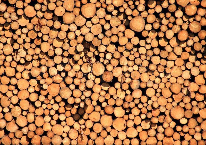 Pile of pinewood timber logs background, stock photo