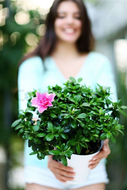 Closeup portrait of a woman holding flower in a pot. Focus on flowers, stock photo