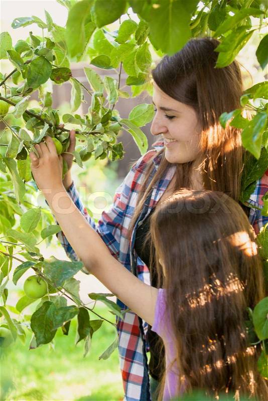 Portrait of smiling girl with mother picking green apple from tree, stock photo