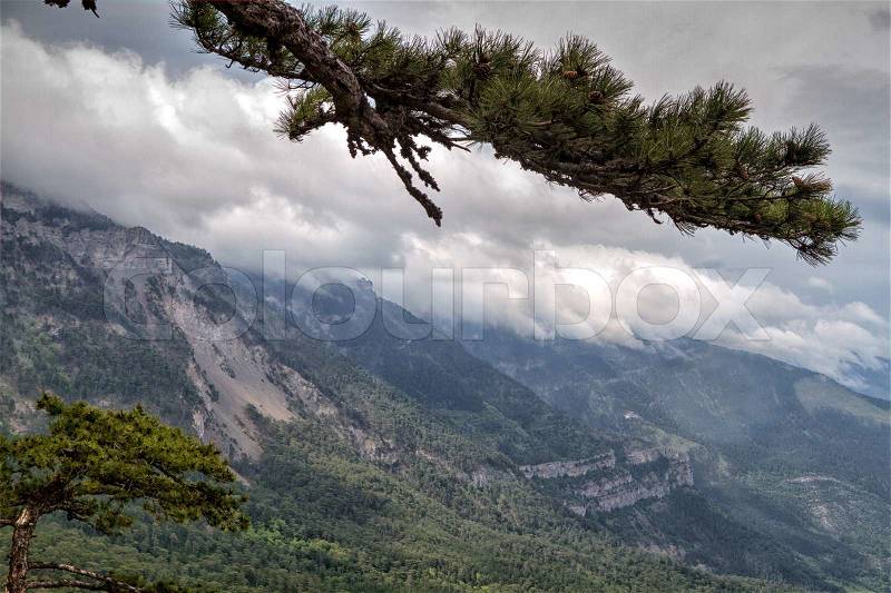 Rocky Mountain Peak with forest on hillside Ai-petri Crimea Landscape Summer day with blue sky on background, stock photo