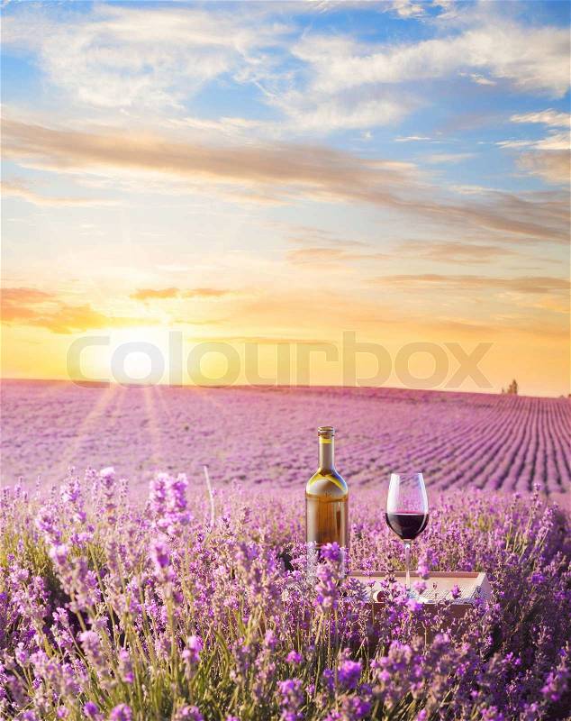 Bottle of wine against lavender landscape, stock photo