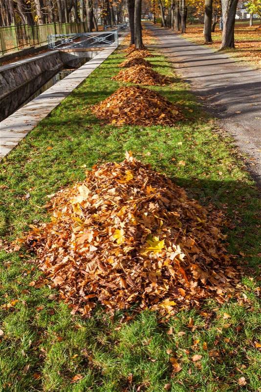 Autumn park alley with yellow leaf pile, stock photo
