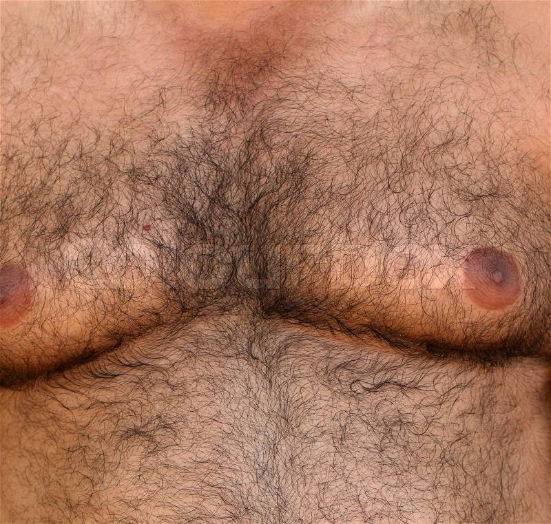 Close up of a hairy skin, stock photo