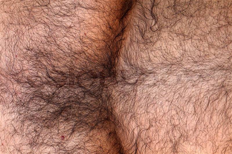 Close up of a hairy skin, stock photo
