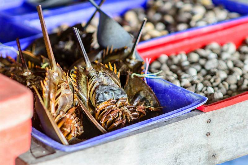 Horseshoe crabs for sale at fresh food market in Thailand, stock photo
