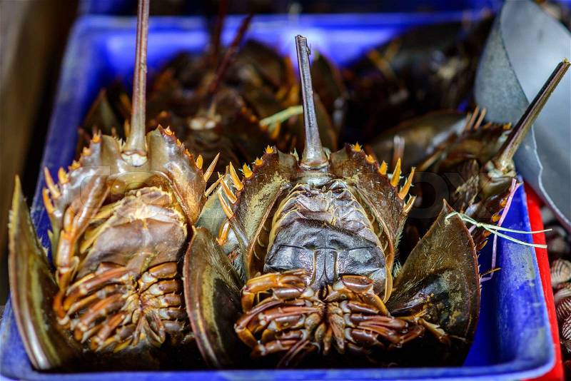 Horseshoe crabs for sale at fresh food market in Thailand, stock photo