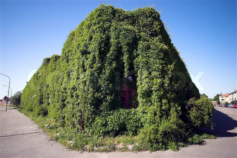 Old factory building from Sweden covered with green creeper, stock photo