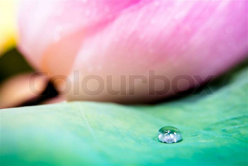 Blur and soft focus of water drops on lotus leaf with vintage color background, stock photo
