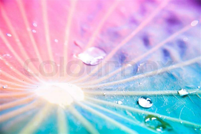 Blur and soft focus of water drops on lotus leaf with vintage color background, stock photo