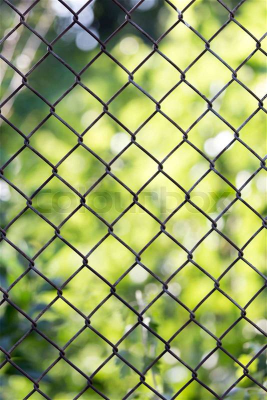 Background of the metal mesh fence, stock photo
