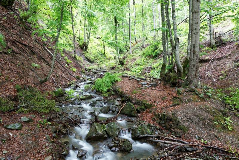 Mountain forest stream in spring, stock photo
