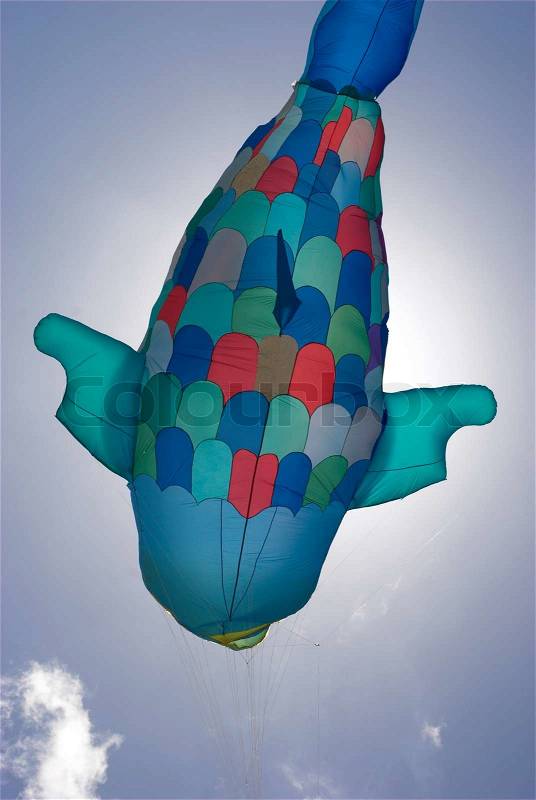 Flying Fish Kite, stock photo