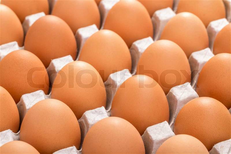 Cardboard tray filled with brown eggs, stock photo