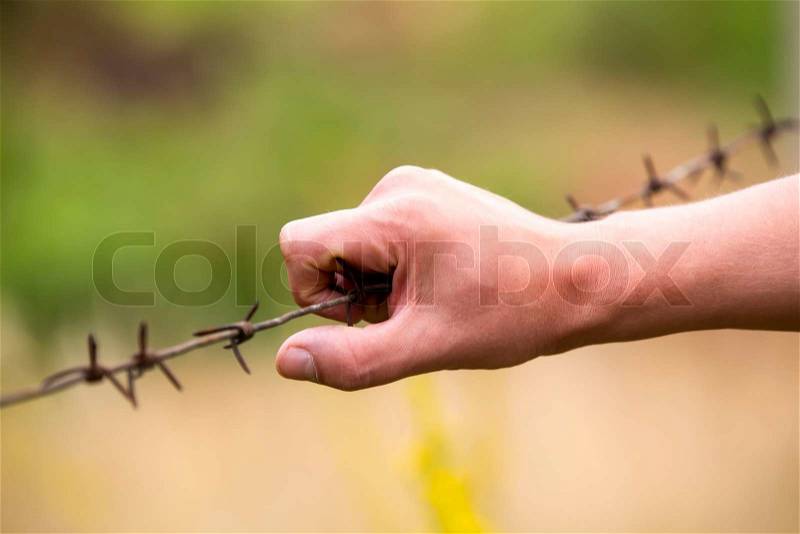 Human hand and the steel barbed wire, stock photo