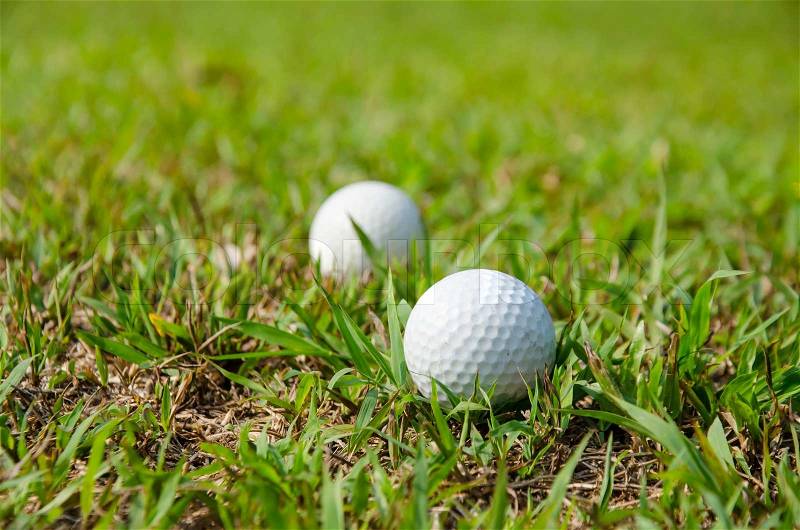 Old golf ball on green for play, stock photo