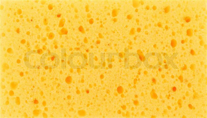 Sponge for washing disk texture background, stock photo