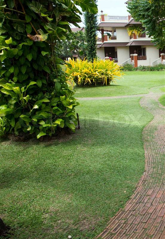 Garden stone path with grass, stock photo