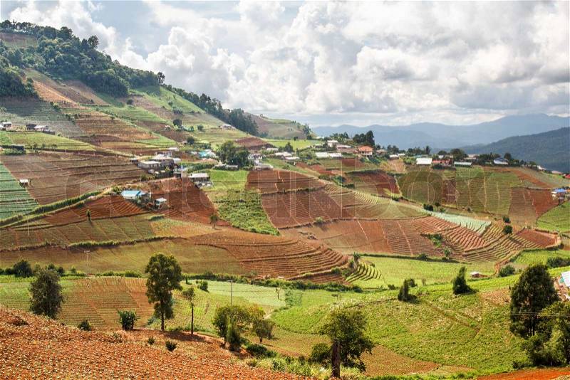 Hmong hill tribe village and terraced vegetable field ,Mae Rim district Chiang Mai province, Thailand, stock photo
