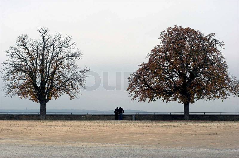 Couple double. Two trees and a couple near Rhine River in the autumn, stock photo