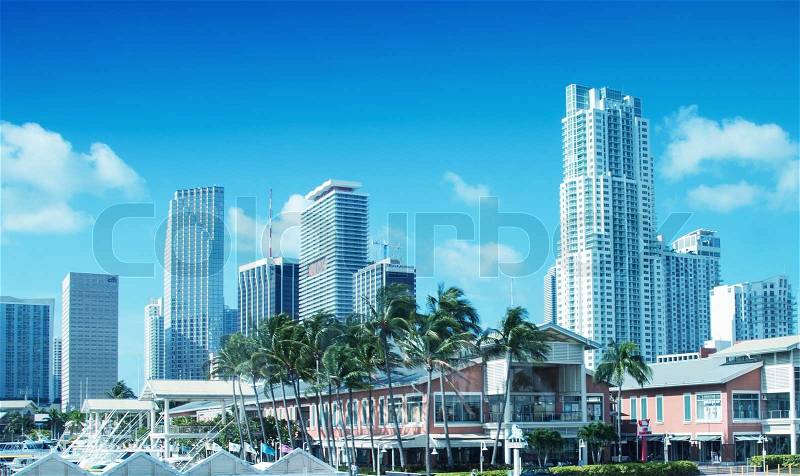 MIAMI - FEBRUARY 2, 2008: City skyline as seen from street level on a beautiful sunny day. Miami is visite by more than 10 million people every year, stock photo