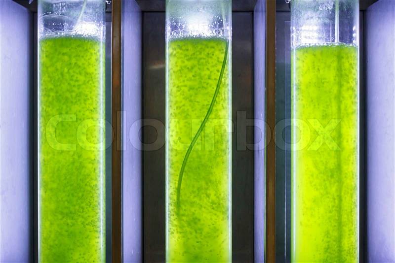 Photobioreactor in lab algae fuel biofuel industry Algae fuel or algal biofuel is an alternative to fossil fuel that uses algae as its source of natural deposits, stock photo