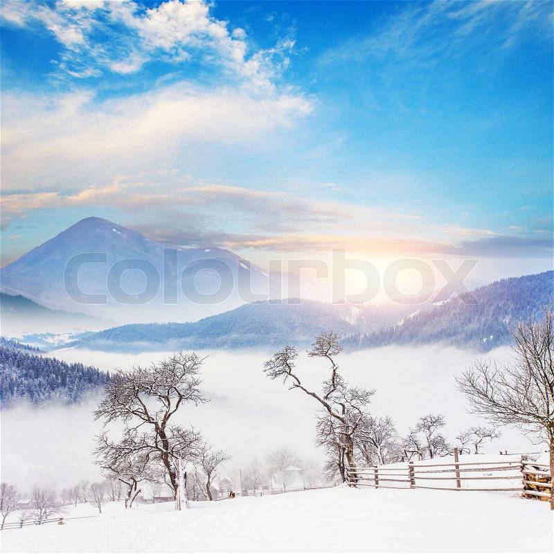 Beautiful winter landscape with snow covered trees. , stock photo