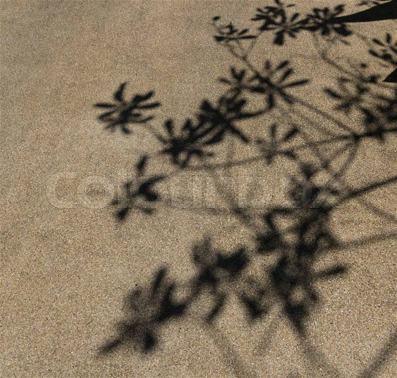 Tree shadow on the Background, stock photo