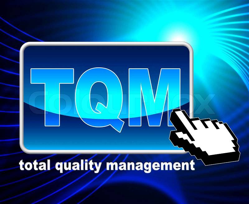 Total Quality Management Represents World Wide Web And Approval, stock photo