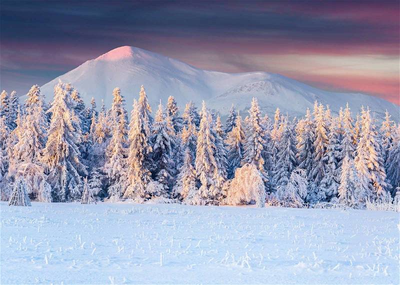 Panorama of the winter sunrise in the mountains, stock photo