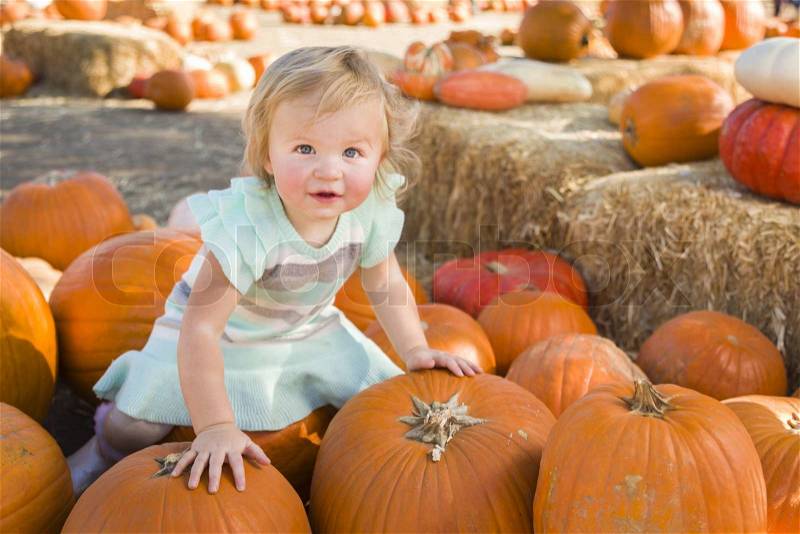 Adorable Baby Girl Holding a Pumpkin in a Rustic Ranch Setting at the Pumpkin Patch, stock photo