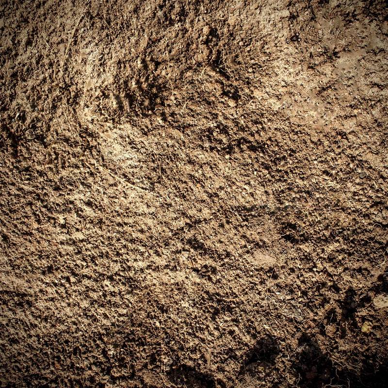 Soil texture and background detail close up, stock photo