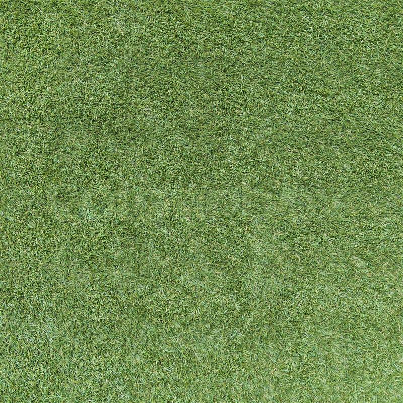 Green grass soccer field texture and background, stock photo