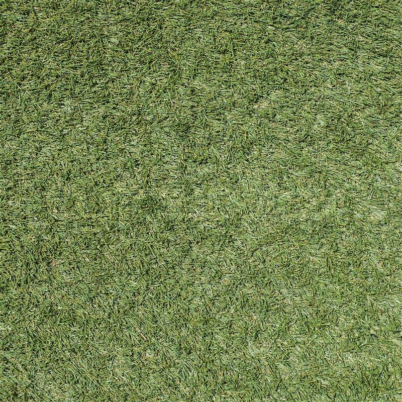 Green grass soccer field texture and background, stock photo