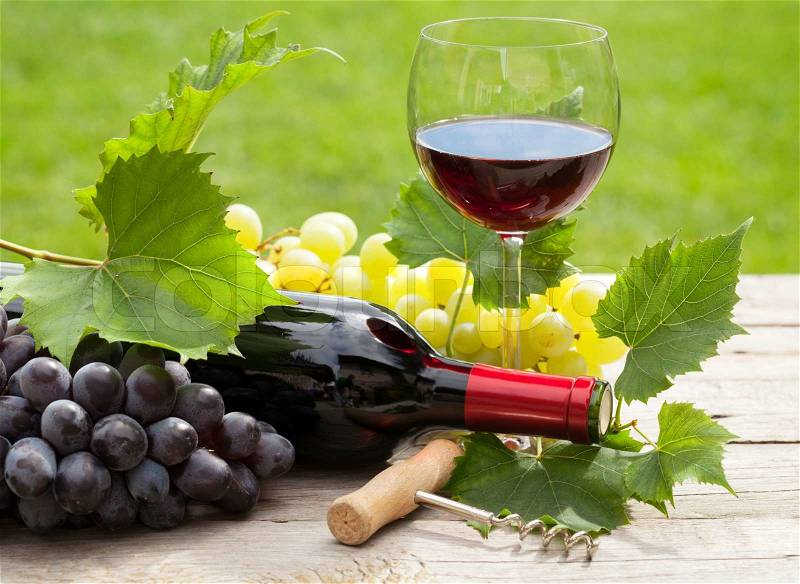 Red wine glass and bottle with bunch of grapes in sunny garden, stock photo