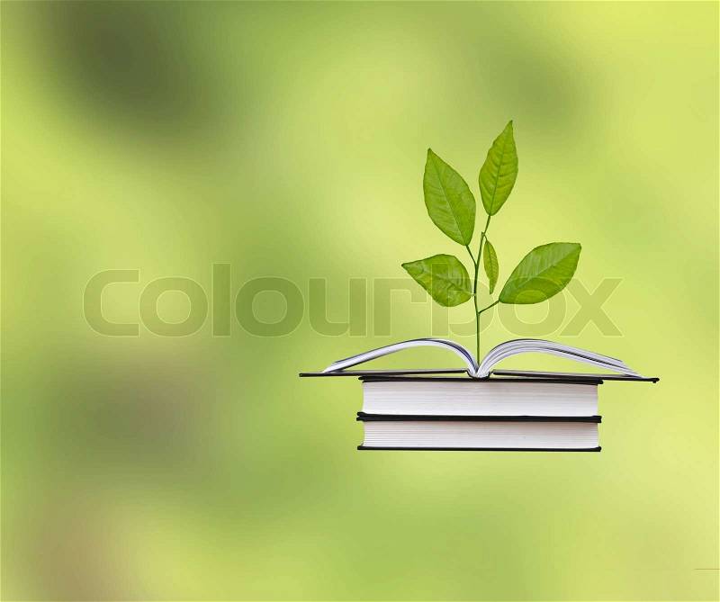 Citrus sapling growing from book, stock photo