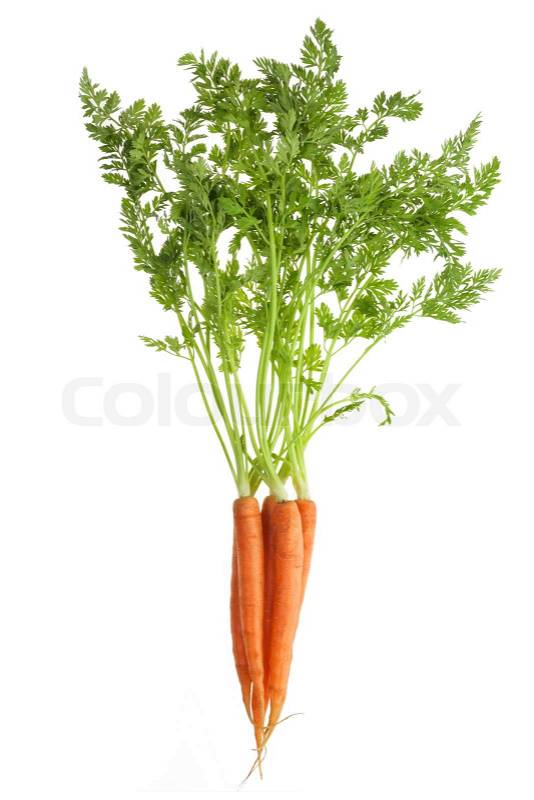 Carrots isolated on white background, stock photo