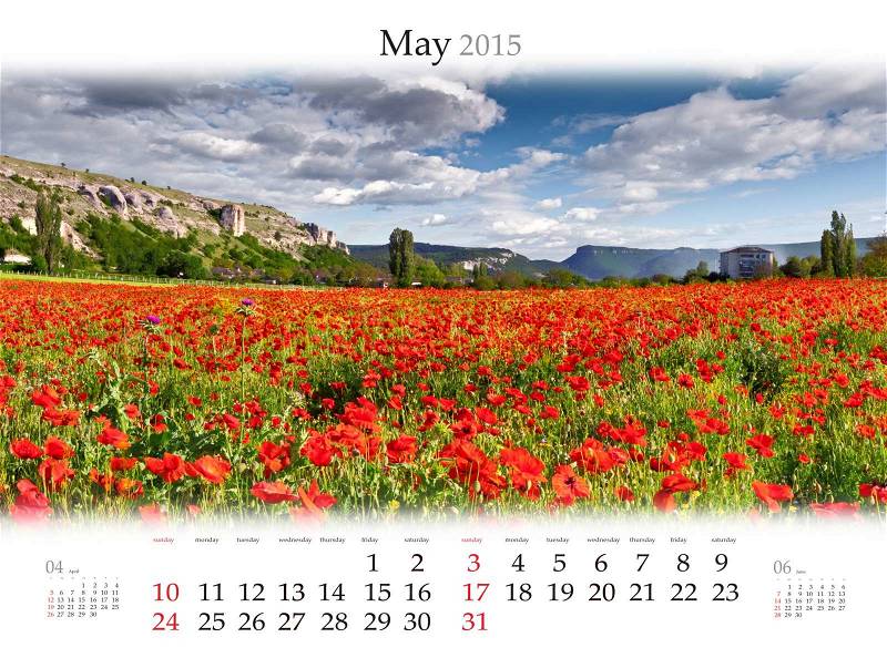 Calendar 2015. May. Blooming field of poppys, stock photo
