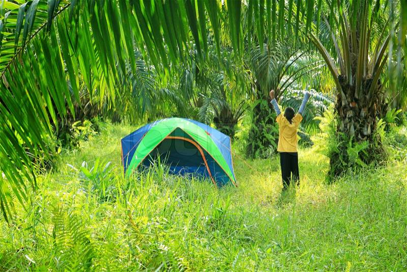 Tourist tent with boy in palm plantation, stock photo