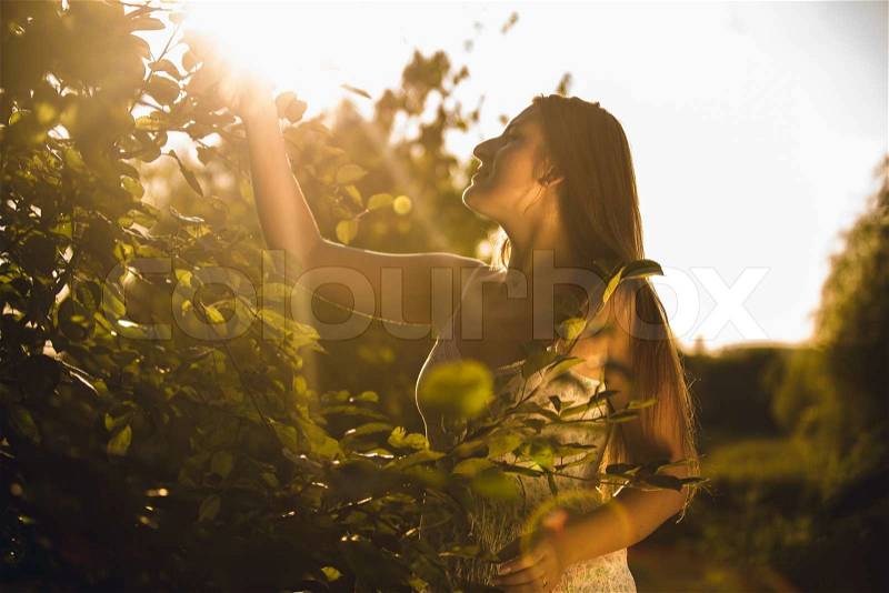 Toned photo of brunette woman picking apple from top of tree, stock photo