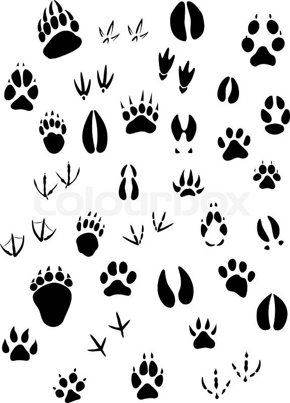 clip art animal footprints - photo #47