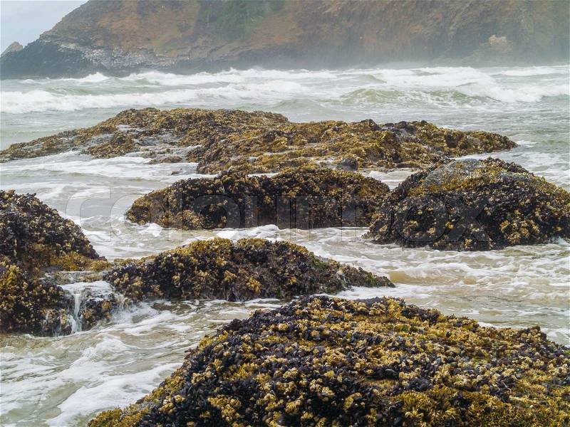 High Tide Coming in on the Oregon Coast at Ecola Beach, stock photo