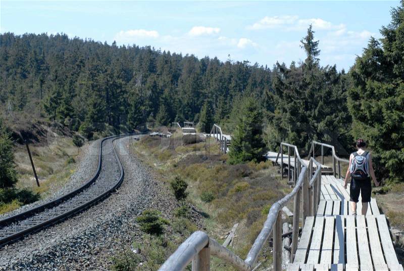 Harz narrow gauge Railway tracks - The Harz national Park is part of the European nature conservation network 