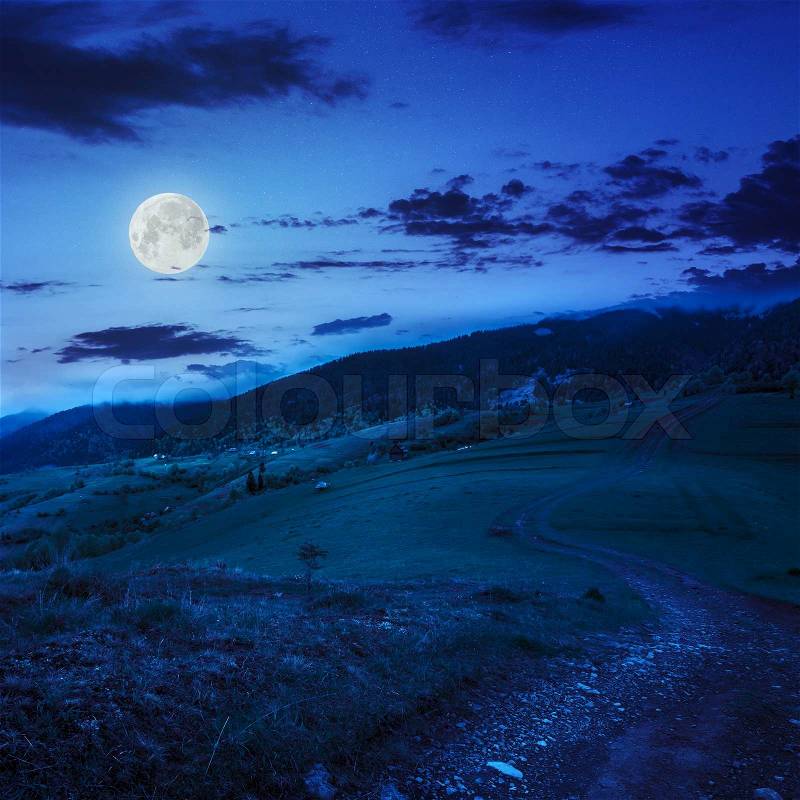 Summer landscape. path on the hillside meadow. forest in fog on the mountain. at night in moon light, stock photo