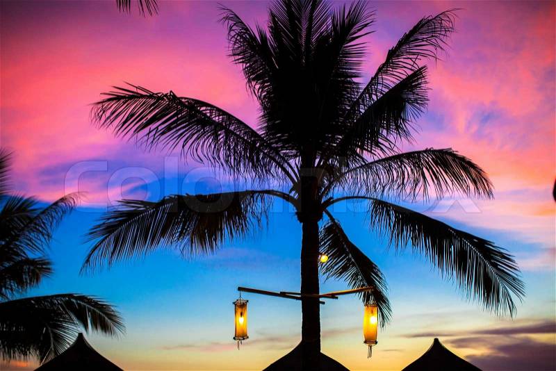 Blue pink and red sunset over sea beach with palm tree silhouette, stock photo