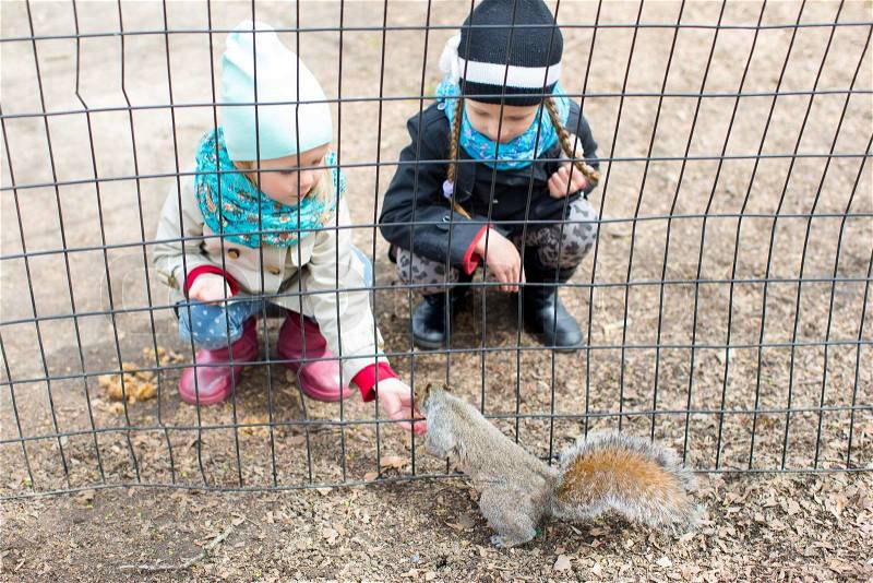 Little girls feeds a squirrel in Central park, New York, America, stock photo