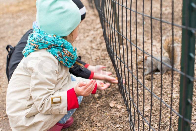 Little girls feeds a squirrel in Central park, New York, America, stock photo
