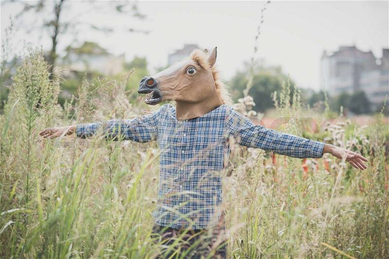 Horse mask absurd man in the grass, stock photo