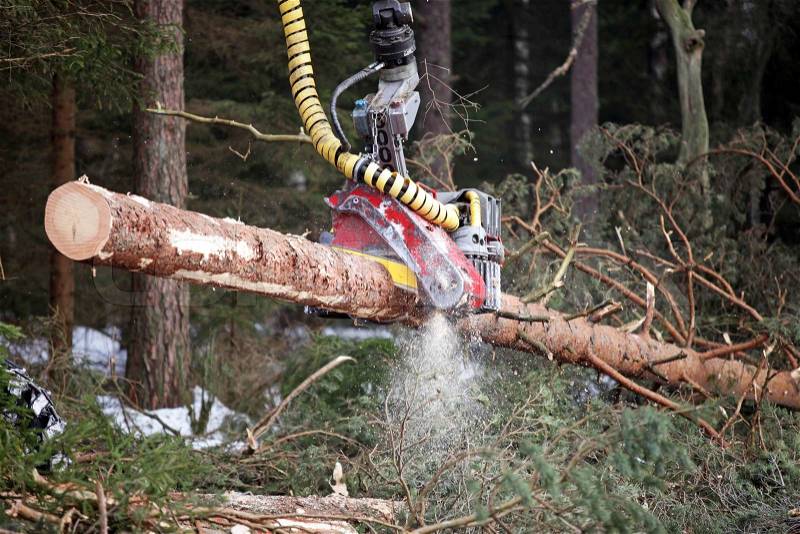 Logging in sweden, stock photo