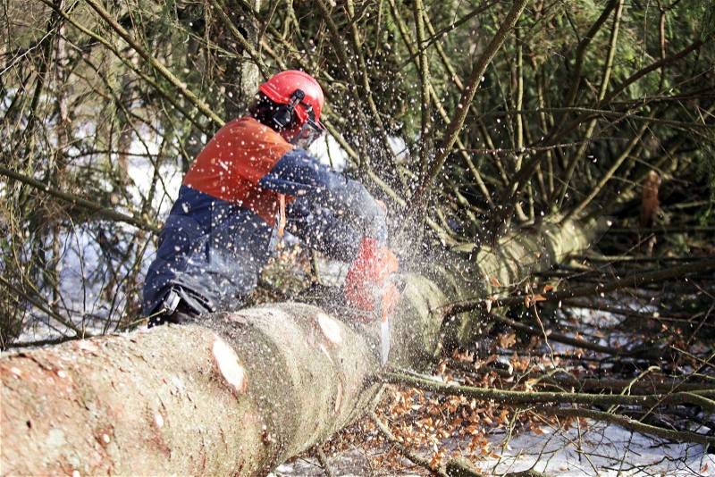Logging in sweden, stock photo